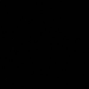 Meet your Posher, Lizzet